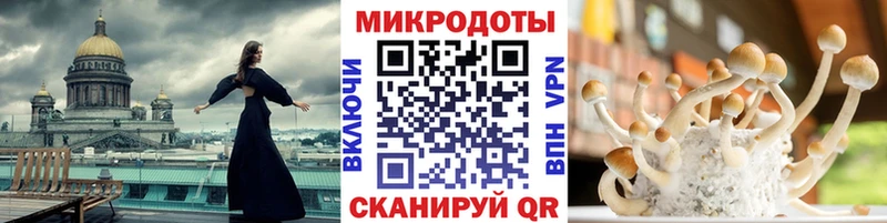 МЕГА tor  Суворов  shop телеграм  Псилоцибиновые грибы GOLDEN TEACHER 